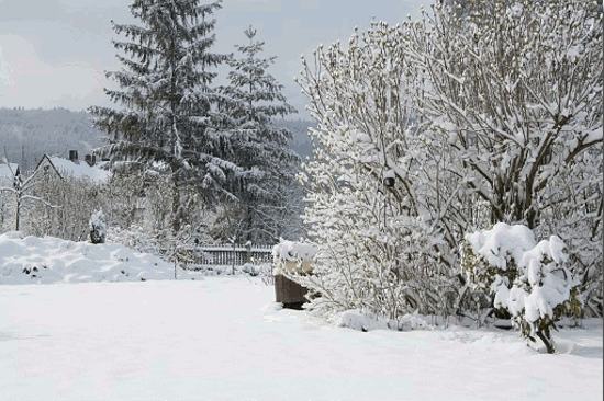 Frohe Weihnachten und ein gesundes Neues Jahr
